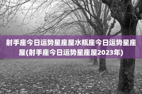 射手座今日运势星座屋水瓶座今日运势星座屋(射手座今日运势星座屋2023年)