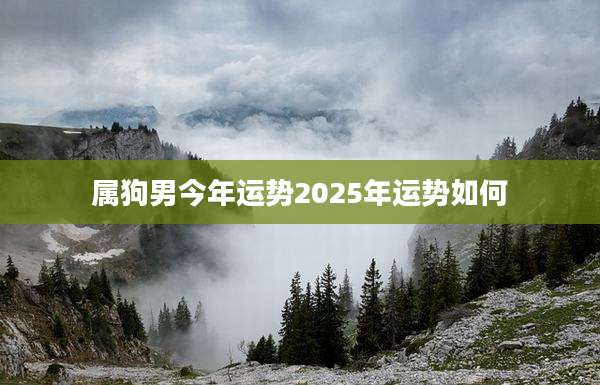 属狗男今年运势2025年运势如何