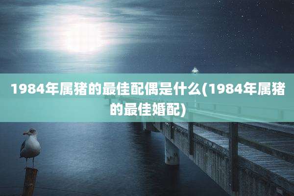 1984年属猪的最佳配偶是什么(1984年属猪的最佳婚配)