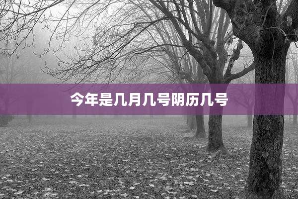 今年是几月几号阴历几号