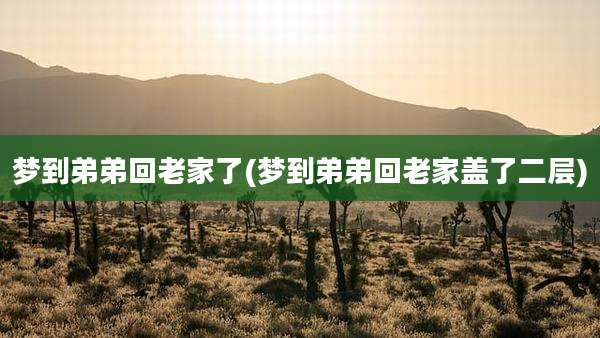 梦到弟弟回老家了(梦到弟弟回老家盖了二层)