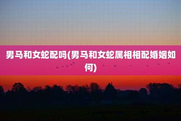 男马和女蛇配吗(男马和女蛇属相相配婚姻如何)