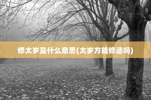 修太岁是什么意思(太岁方能修造吗)