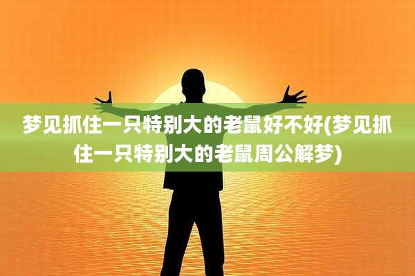 梦见抓住一只特别大的老鼠好不好(梦见抓住一只特别大的老鼠周公解梦)