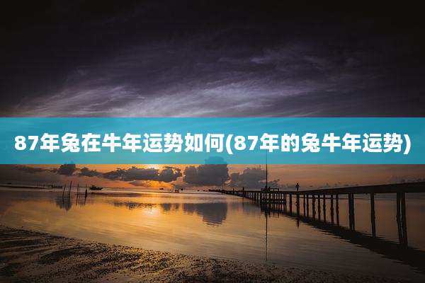 87年兔在牛年运势如何(87年的兔牛年运势)