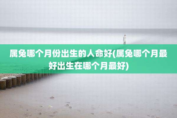属兔哪个月份出生的人命好(属兔哪个月最好出生在哪个月最好)
