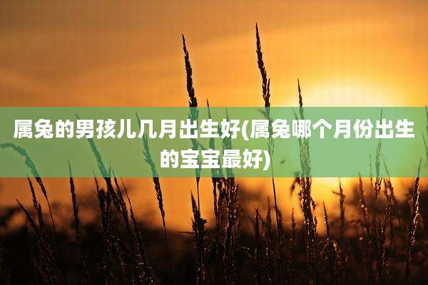 属兔的男孩儿几月出生好(属兔哪个月份出生的宝宝最好)