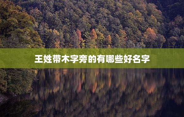 王姓带木字旁的有哪些好名字