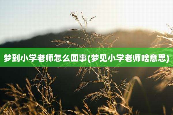 梦到小学老师怎么回事(梦见小学老师啥意思)