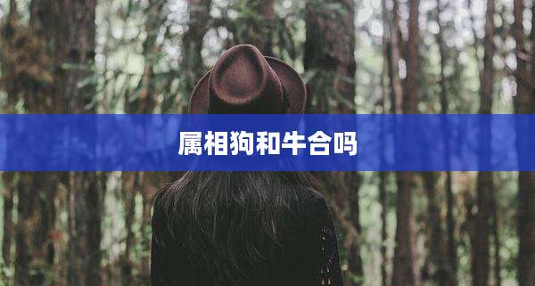 属相狗和牛合吗