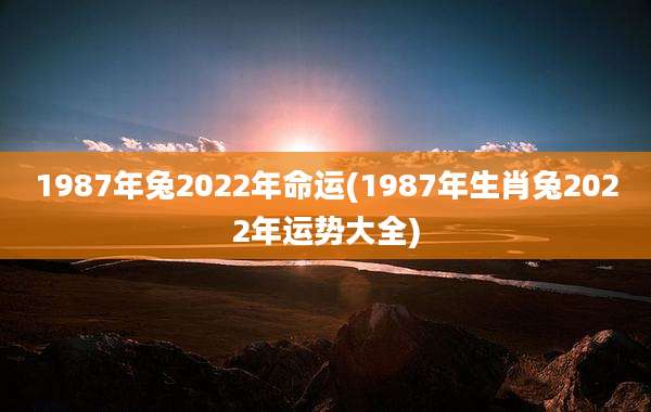 1987年兔2022年命运(1987年生肖兔2022年运势大全)
