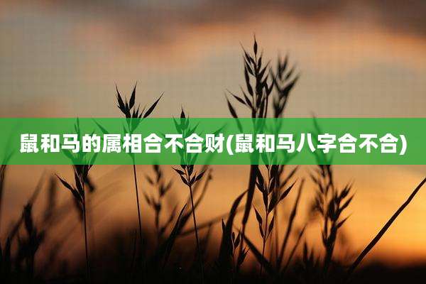 鼠和马的属相合不合财(鼠和马八字合不合)