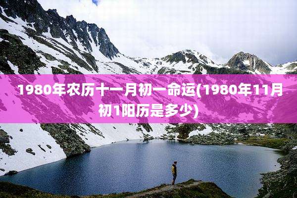 1980年农历十一月初一命运(1980年11月初1阳历是多少)