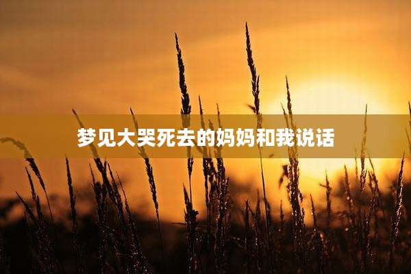 梦见大哭死去的妈妈和我说话
