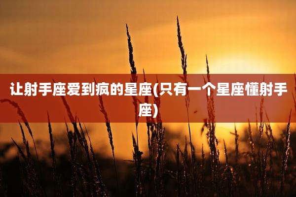 让射手座爱到疯的星座(只有一个星座懂射手座)