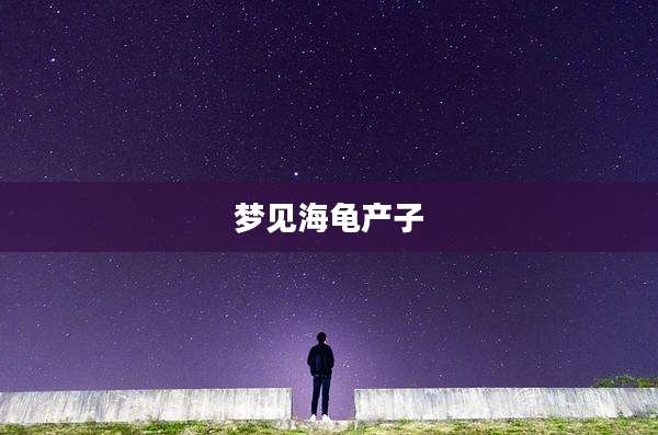 梦见海龟产子