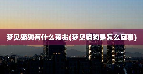 梦见猫狗有什么预兆(梦见猫狗是怎么回事)