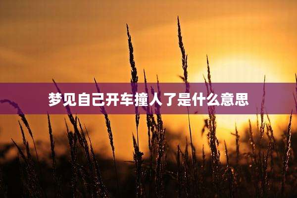 梦见自己开车撞人了是什么意思