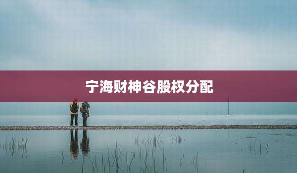 宁海财神谷股权分配