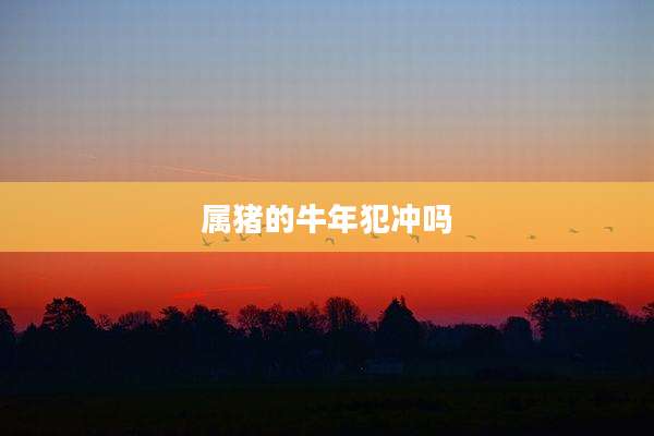 属猪的牛年犯冲吗