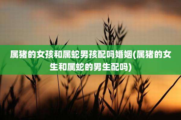 属猪的女孩和属蛇男孩配吗婚姻(属猪的女生和属蛇的男生配吗)