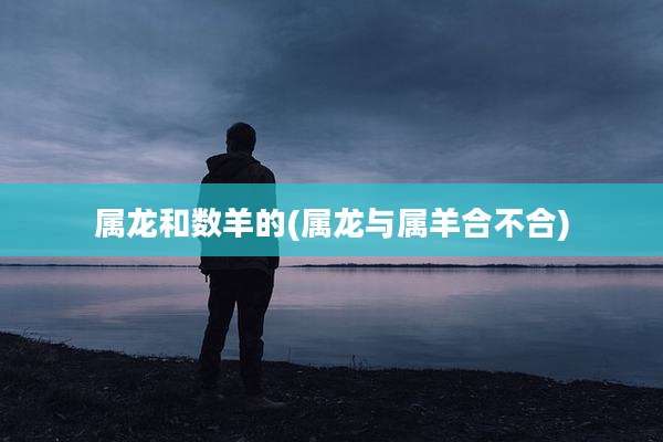 属龙和数羊的(属龙与属羊合不合)