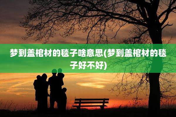 梦到盖棺材的毯子啥意思(梦到盖棺材的毯子好不好)