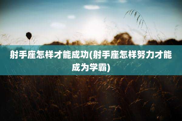 射手座怎样才能成功(射手座怎样努力才能成为学霸)