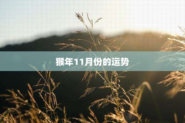 猴年11月份的运势