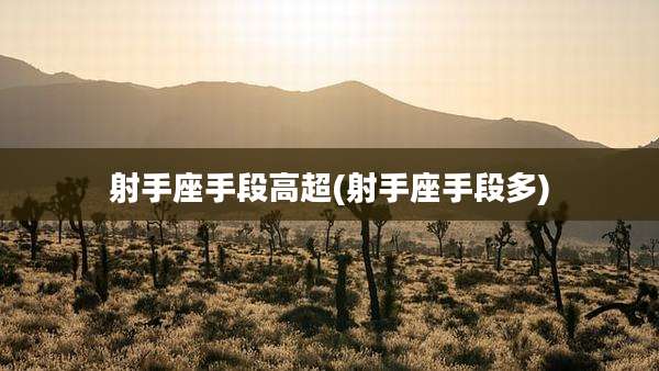 射手座手段高超(射手座手段多)