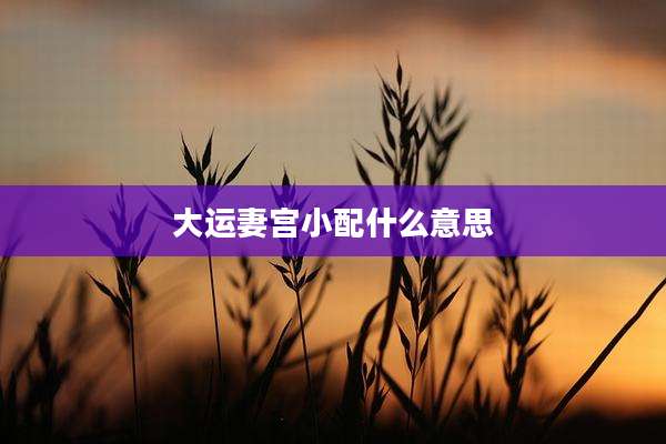 大运妻宫小配什么意思
