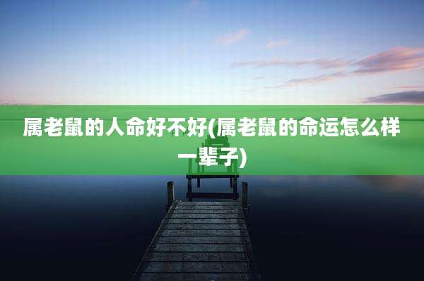 属老鼠的人命好不好(属老鼠的命运怎么样一辈子)
