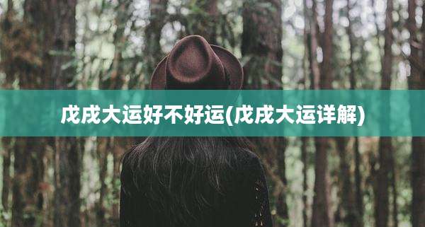 戊戌大运好不好运(戊戌大运详解)