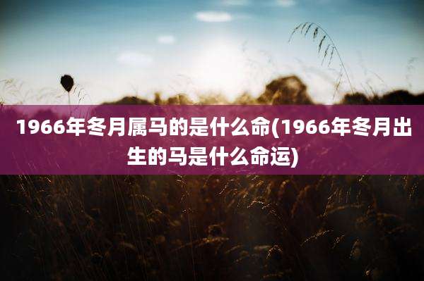 1966年冬月属马的是什么命(1966年冬月出生的马是什么命运)