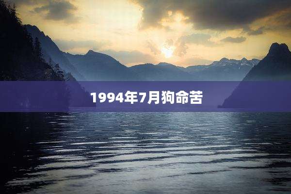 1994年7月狗命苦