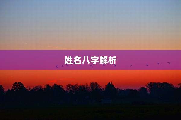 姓名八字解析