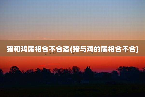 猪和鸡属相合不合适(猪与鸡的属相合不合)