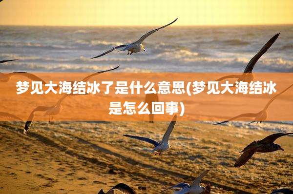 梦见大海结冰了是什么意思(梦见大海结冰是怎么回事)