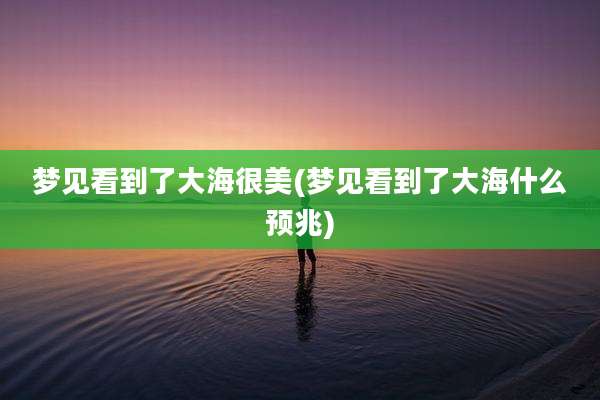 梦见看到了大海很美(梦见看到了大海什么预兆)