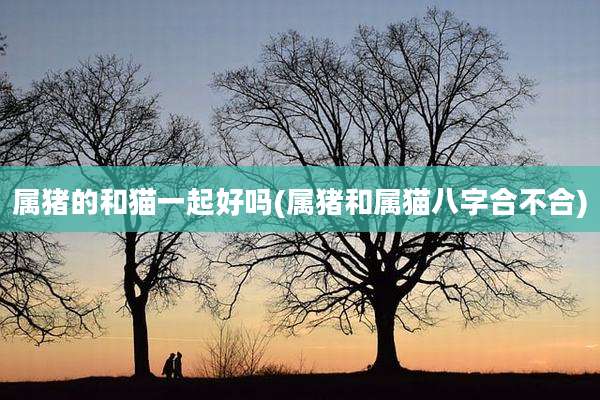 属猪的和猫一起好吗(属猪和属猫八字合不合)