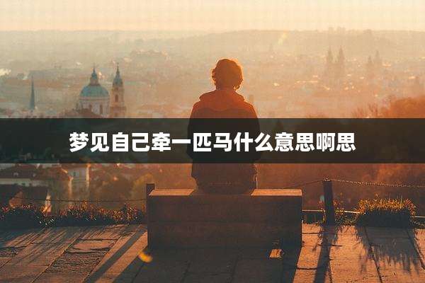 梦见自己牵一匹马什么意思啊思