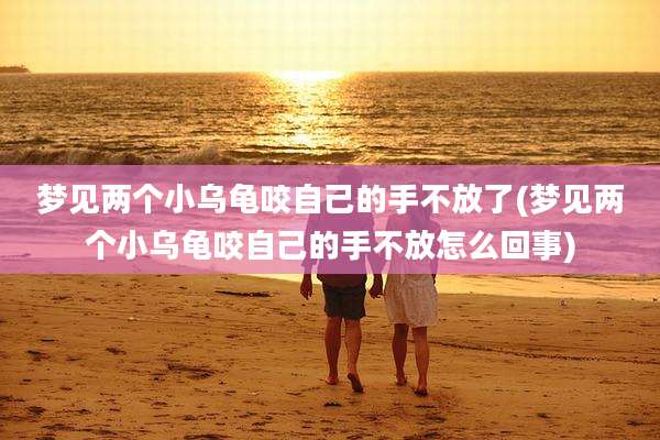 梦见两个小乌龟咬自己的手不放了(梦见两个小乌龟咬自己的手不放怎么回事)