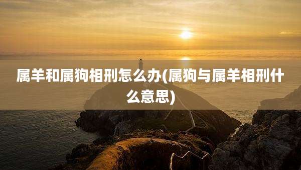 属羊和属狗相刑怎么办(属狗与属羊相刑什么意思)