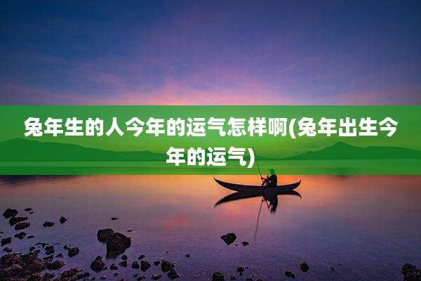兔年生的人今年的运气怎样啊(兔年出生今年的运气)