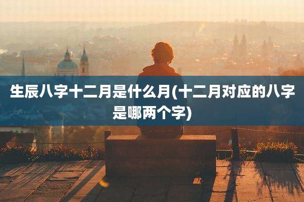 生辰八字十二月是什么月(十二月对应的八字是哪两个字)