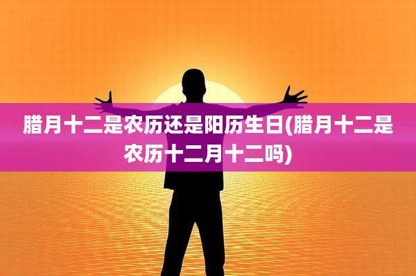 腊月十二是农历还是阳历生日(腊月十二是农历十二月十二吗)
