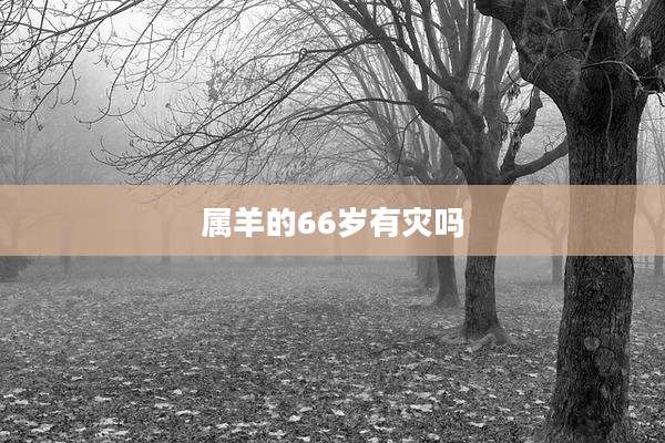 属羊的66岁有灾吗