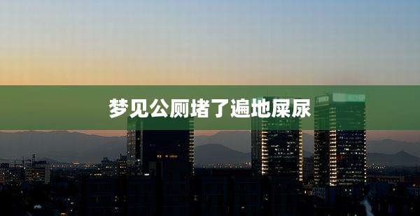 梦见公厕堵了遍地屎尿