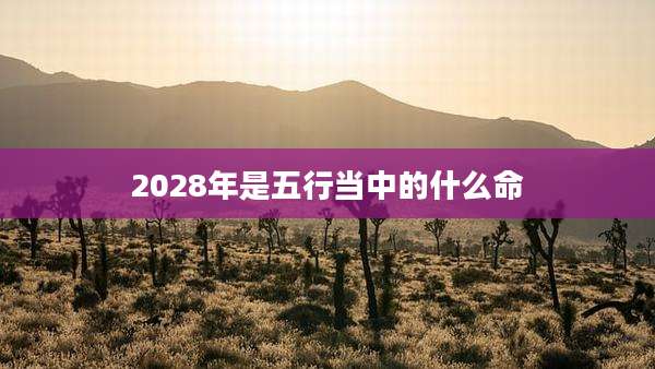 2028年是五行当中的什么命