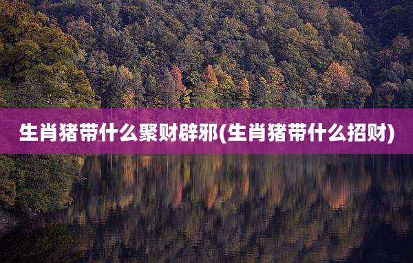 生肖猪带什么聚财辟邪(生肖猪带什么招财)
